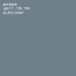 #6F808B - Slate Gray Color Image